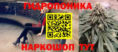 молекула духа Кандалакша