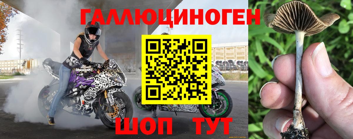 Псилоцибиновые грибы мухоморы Кудрово