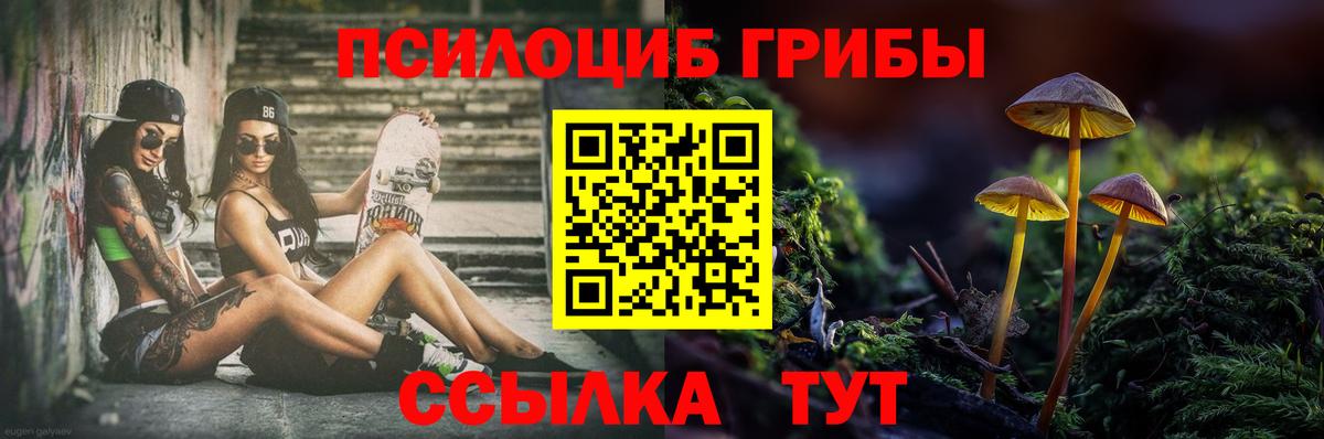 Псилоцибиновые грибы GOLDEN TEACHER  Псилоцибиновые грибы мицелий  Кудрово  Вход с VPN 